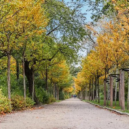 Apartment Edler Wohnraum Schwanenteich-suite Mit Balkon, Kaffeevollautomat, Lift & Parkplatz Zwickau